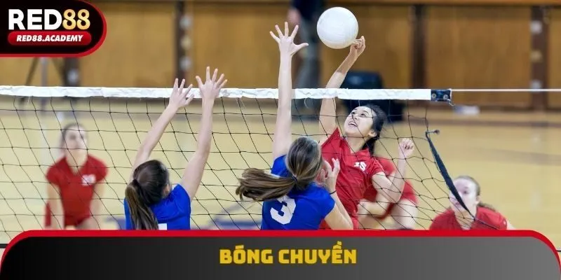 Bóng chuyền không làm thất vọng với nhiều trận mãn nhãn Bóng chuyền không làm thất vọng với nhiều trận mãn nhãn