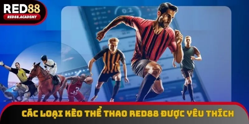 Một số loại kèo phổ biến, được chuyên gia đánh giá cao Một số loại kèo phổ biến, được chuyên gia đánh giá cao